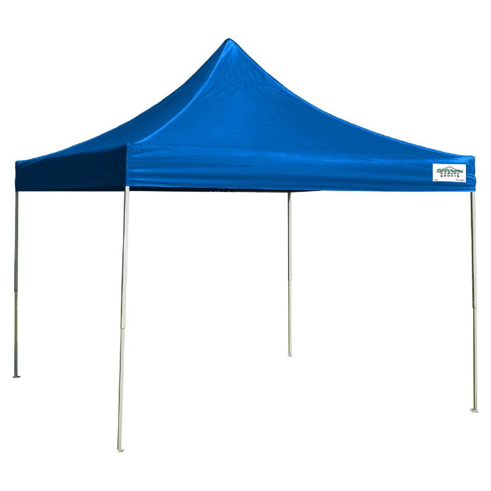 10x 10 tent